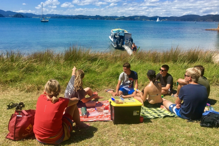 Bay of Islands: middagvaart & eilandrondleiding kleine groep