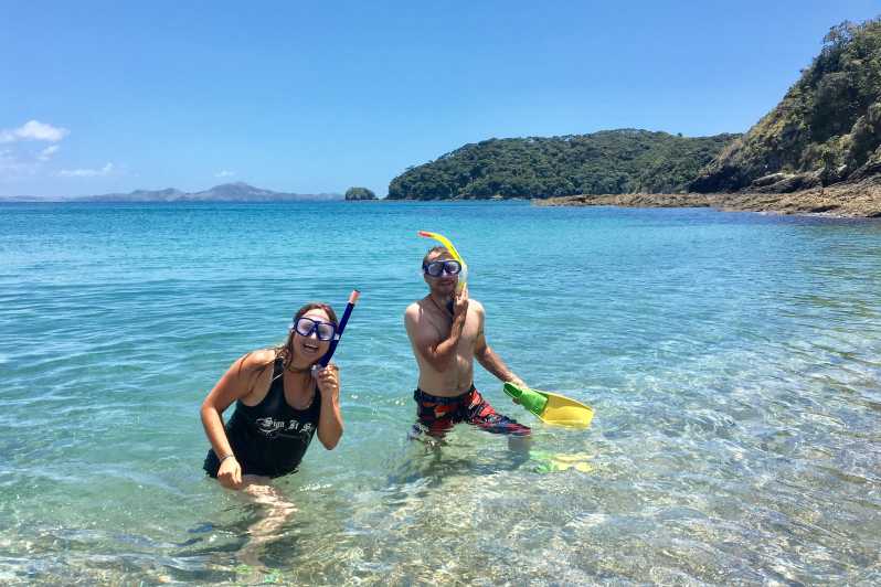 From Paihia: 3.5-Hour Day Cruise and Island Tour