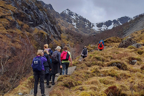 Excursión al Valle Perdido de Glencoe con Guía de Montaña