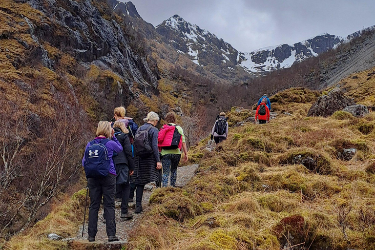 Excursión al Valle Perdido de Glencoe con Guía de Montaña