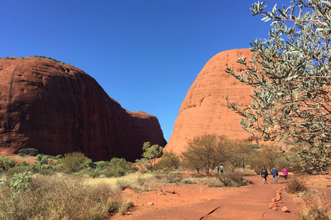 Kata Tjuta: Tour per piccoli gruppi all&#039;alba con colazione a picnicKata Tjuta: tour all&#039;alba per piccoli gruppi con colazione al sacco