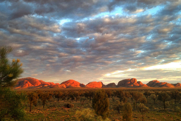 Kata Tjuta: Tour per piccoli gruppi all&#039;alba con colazione a picnicKata Tjuta: tour all&#039;alba per piccoli gruppi con colazione al sacco