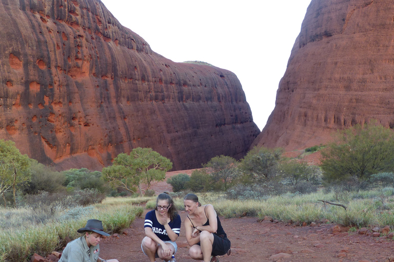 Kata Tjuta: Tour per piccoli gruppi all&#039;alba con colazione a picnicKata Tjuta: tour all&#039;alba per piccoli gruppi con colazione al sacco