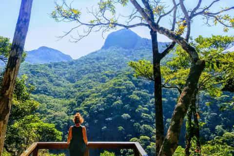Tijuca Forest: Small Group Guided Family Hike