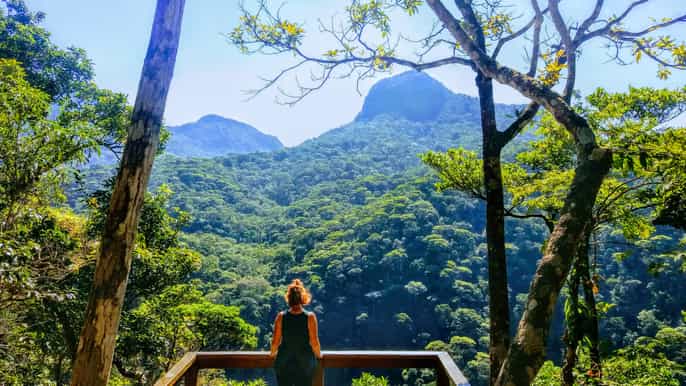 tijuca forest small group guided family hike