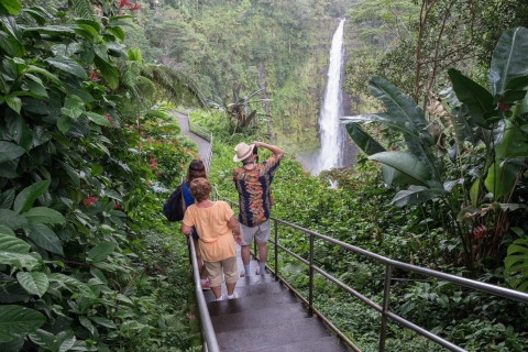 Big Island: visites en petit groupe de la vallée de Waipio et de la cascade