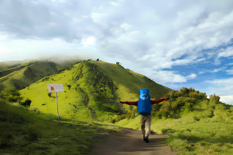 Yogyakarta: Escursione all'alba sul Monte Merbabu - Gita di un giorno intero