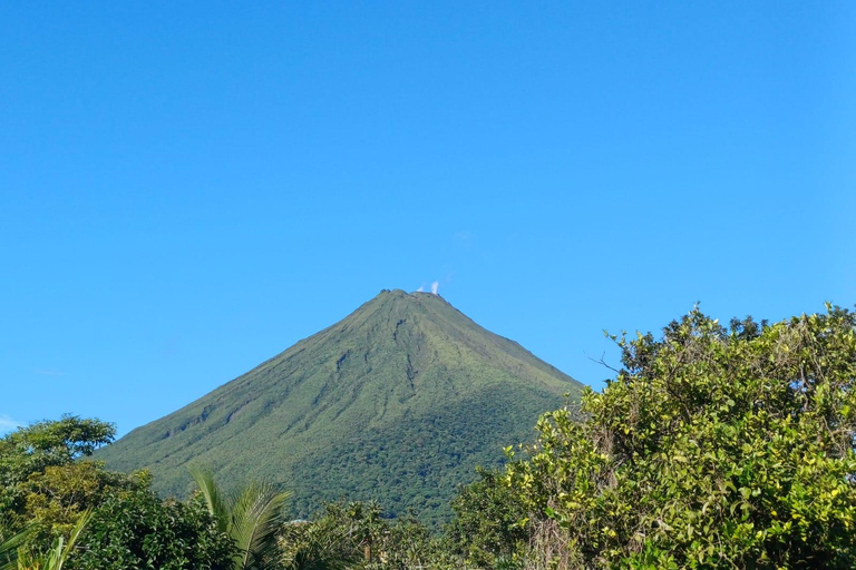 Costa Rica: Arenal, Monteverde, and Manuel Antonio Tour