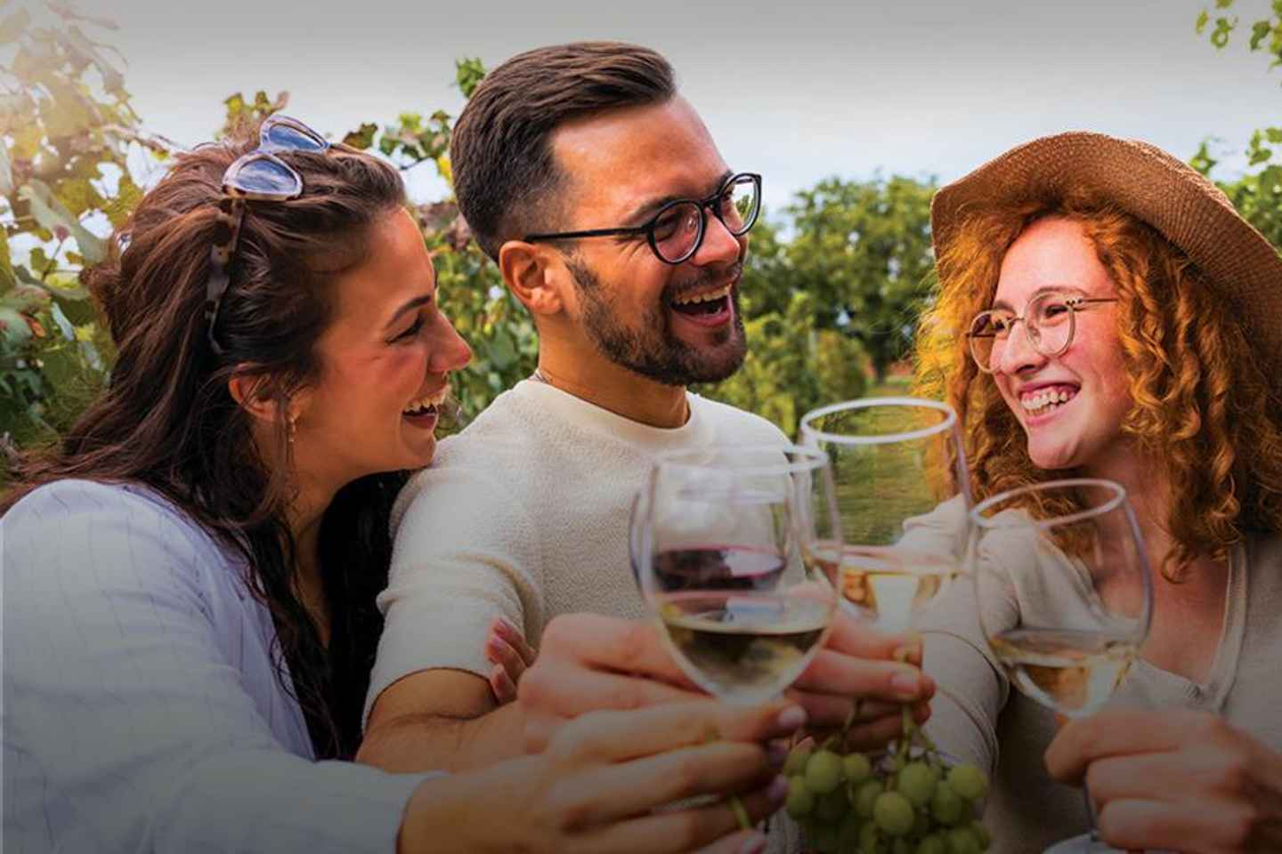 Porto: Dão Wineries Tour with Wine Tasting, Lunch and Cheese