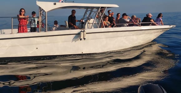 Umag: Delfinbeobachtung & Sonnenuntergangs-Panorama-Tour