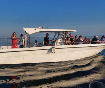 Umag: Observação de golfinhos e passeio panorâmico ao pôr do sol