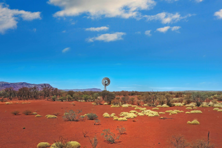 Perth to Exmouth & Return with Monkey Mia & Ningaloo Reef