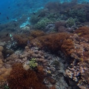 Hidden Islands Snorkeling Tour: Gili Kondo, Bidara & Petagan