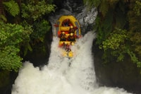 Kaituna River, Whitewater Rafting Experience - Housity