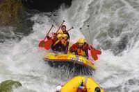 Kaituna River, Whitewater Rafting Experience - Housity