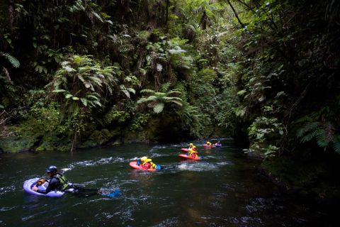 Río Kaituna: experiencia de trineo de aguas bravas de 3,5 horas