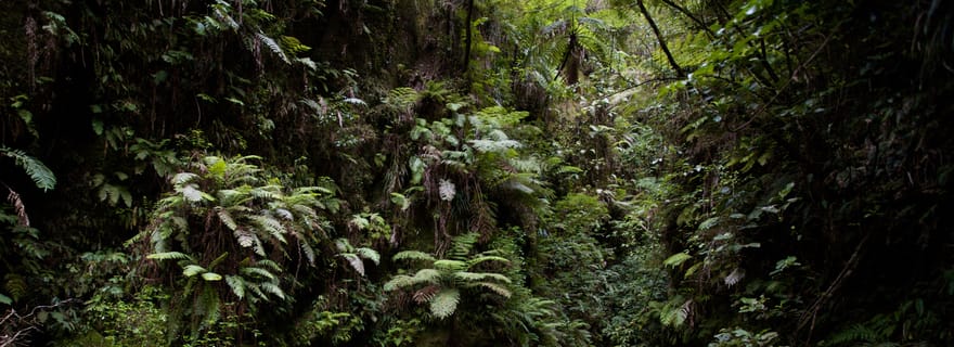 Rotorua Sledging : expérience de descente en bouée sur la rivière Kaituna
