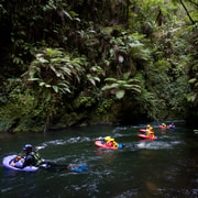Rotorua Sledging: Kaituna White Water River Board Experience
