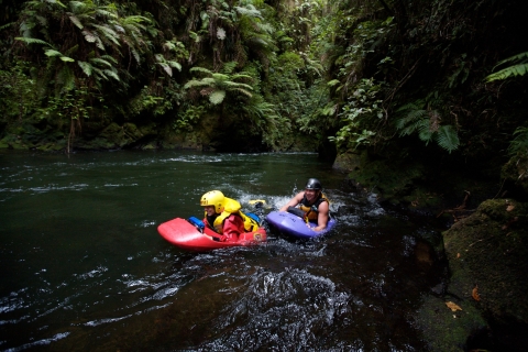Río Kaituna: experiencia de trineo en aguas blancas de 3.5 horasOpcion estandar