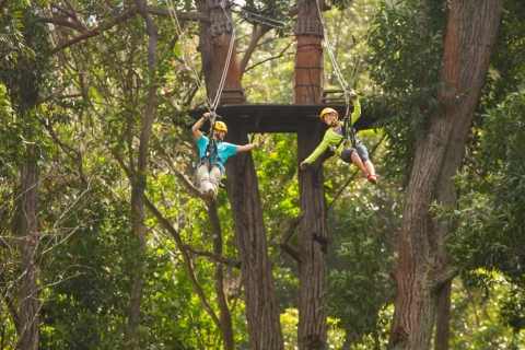 Big Island: 3 uur Kohala Canopy Zipline AdventureStandaard optie