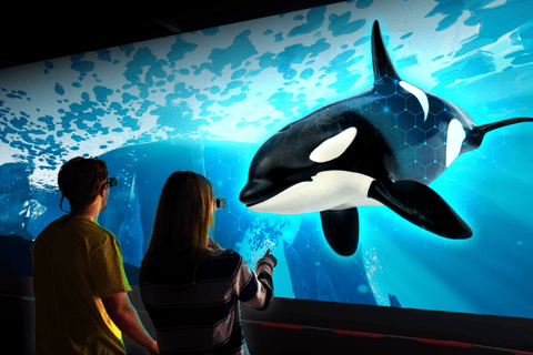 Copenhagen: Arctic Hologram Show at HologramZoo