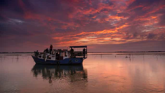 from bucharest 2day wildlife tour to the danube delta