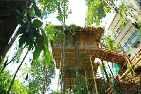 Kerala: Excursión de 4 días con estancia en casa de árbol y paseo en casa flotante