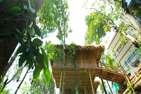 Kerala: 4-Day Tour with Tree House Stay & Houseboat Ride