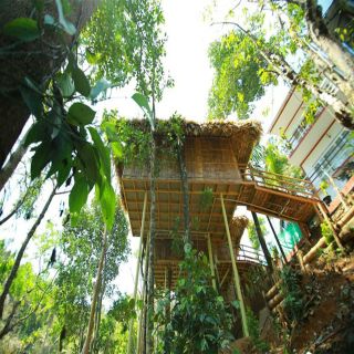 Kerala: 4-daagse tour met Tree House Stay & Houseboat Ride