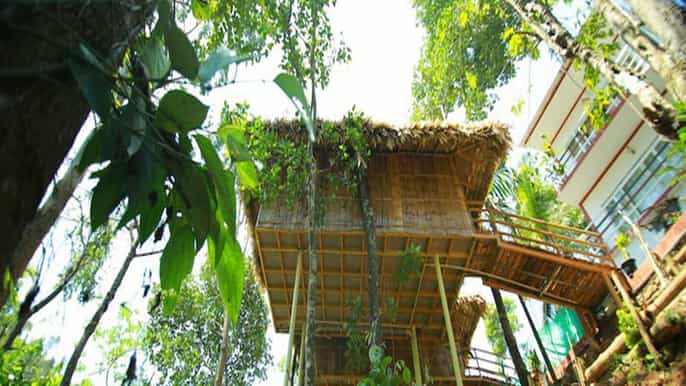 kerala 4day tour with tree house stay houseboat ride