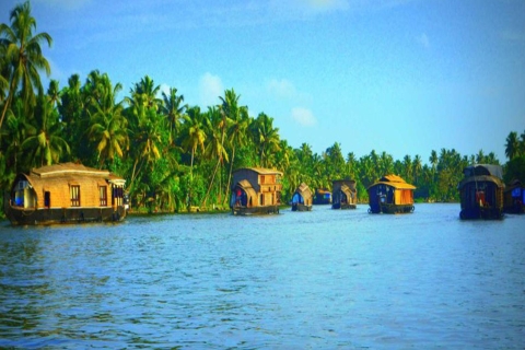 Kerala: 4-dniowa wycieczka z Tree House Stay & Houseboat Ride