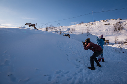 Depuis Tromsø : excursion au cœur de la nature arctiqueVisite en groupe avec 15 personnes au maximum