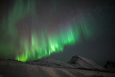 De Tromsø: Excursão à aurora borealDe Tromsø: Excursão Aurora Boreal c/ Tudo Incluído