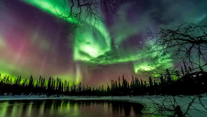 northern lights hunting with lappish bbq in rovaniemi