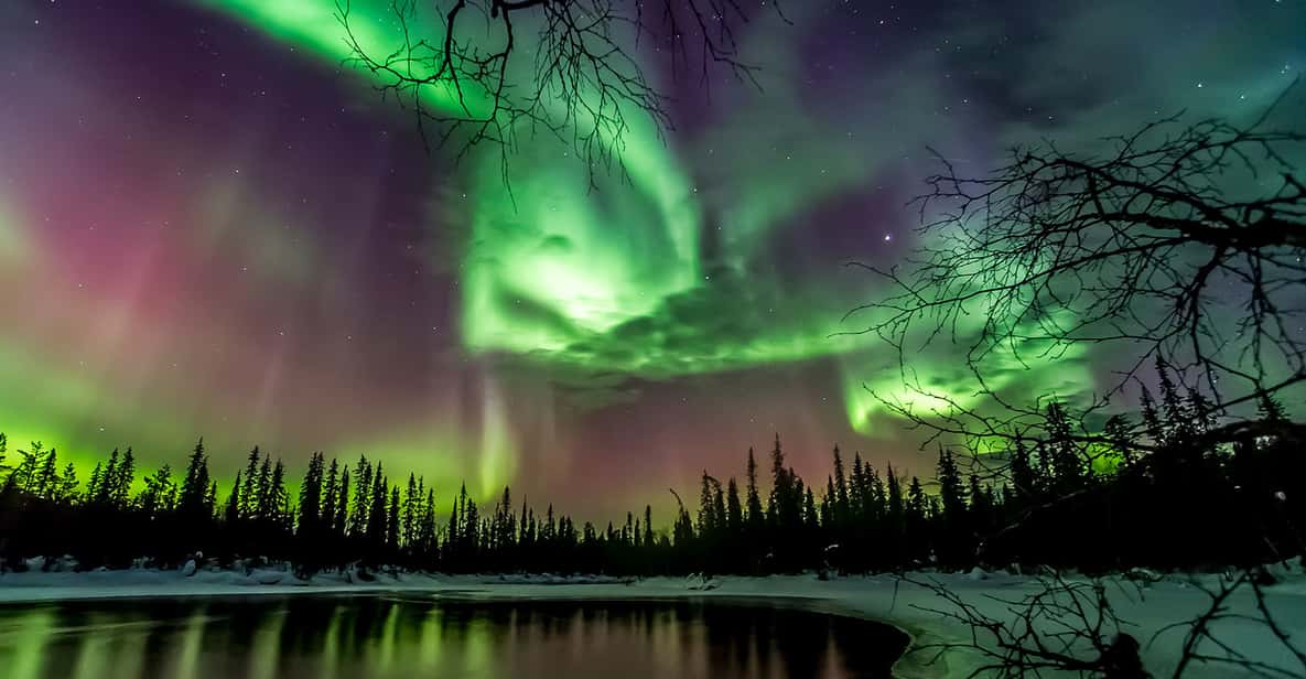 Northern Lights Hunting With Lappish BBQ in Rovaniemi
