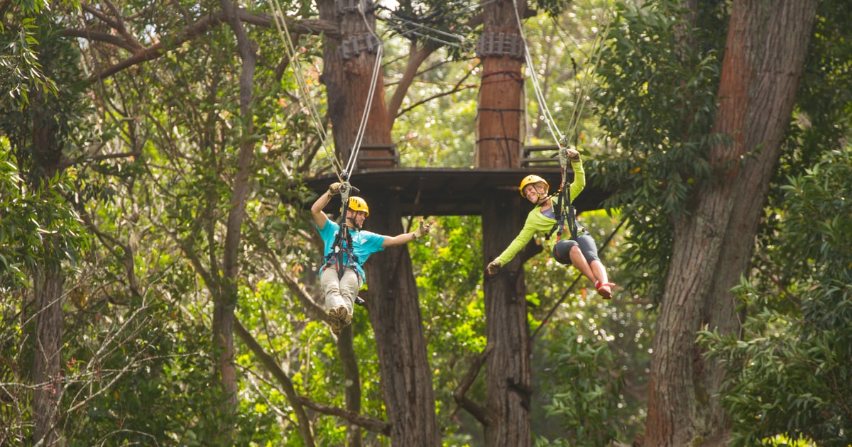 Big Island FullDay Kohala Zipline and Waterfall Adventure GetYourGuide