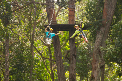 Big Island: aventure d'une journée en tyrolienne et en cascade à Kohala