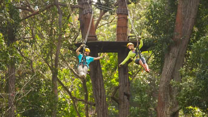 big island fullday kohala zipline and waterfall adventure
