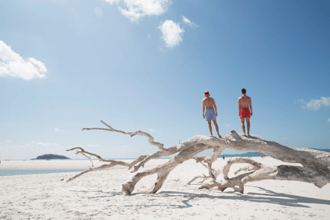 Ultieme Whitehaven Strand, Wandeling &amp; Inham Tour met LunchWhitehaven Beach, Hill &amp; Inlet: tour met lunch