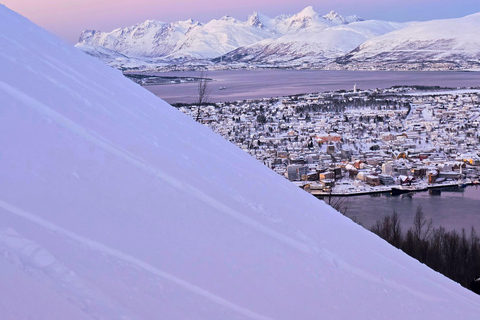 Tromsø: Fjellheisen Local Guided Hike