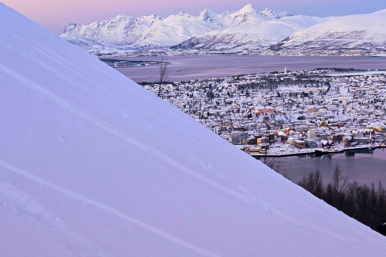Tromsø: Fjellheisen Local Guided Hike