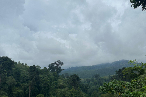 From Arusha: Ilkidinga Village and Napuru Waterfalls Tour