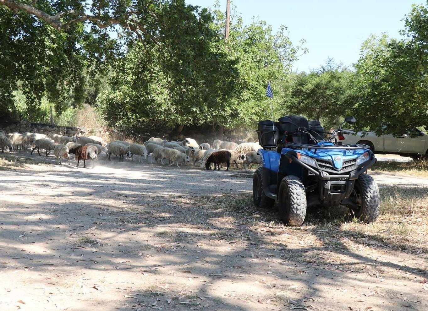 Fra Georgioupolis: Halvdags quad-ATV-safari