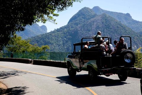 Rio: tour in jeep di mezza giornata alla Foresta di Tijuca