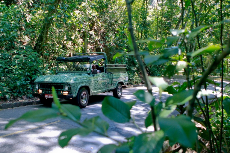 Rio: Halbtägige Jeep-Tour in Floresta da Tijuca