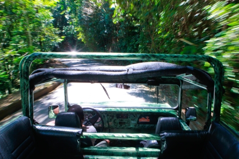 Rio: Half-Day Jeep Tour at Floresta da Tijuca