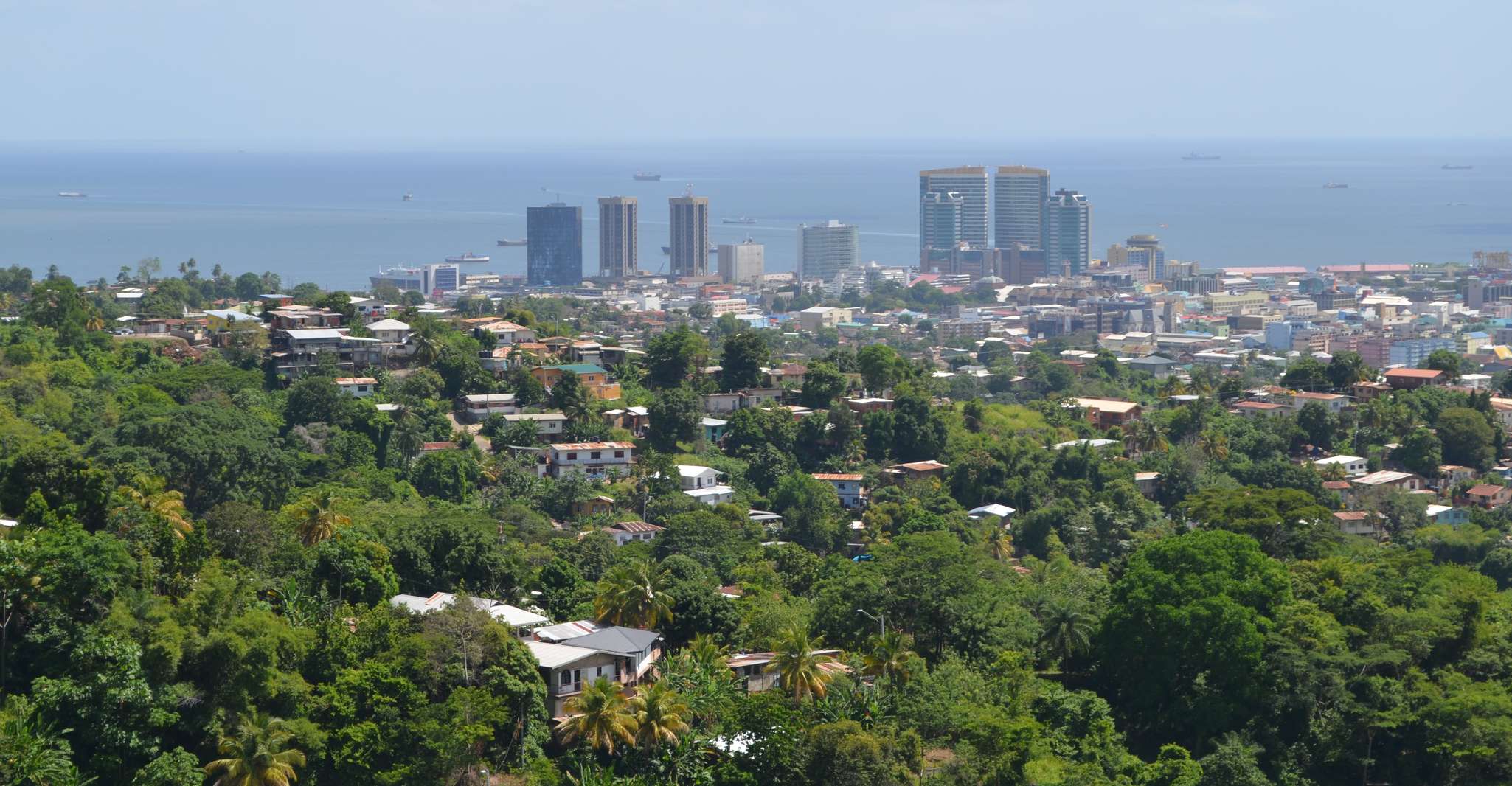 Port of Spain and Fort George Sightseeing Tour - Housity