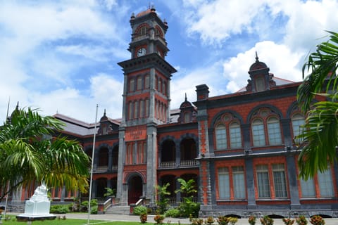 Port of Spain and Fort George Sightseeing Tour