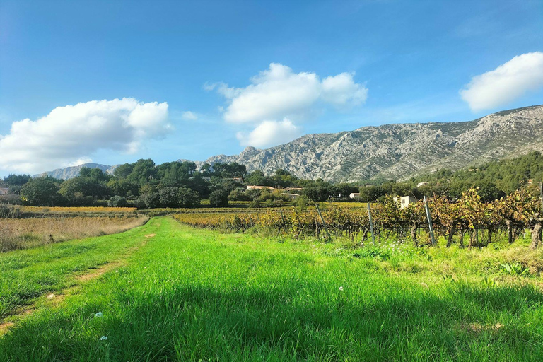 Fördjupning på landsbygden med hästridning i Sainte VictoireHästryggen