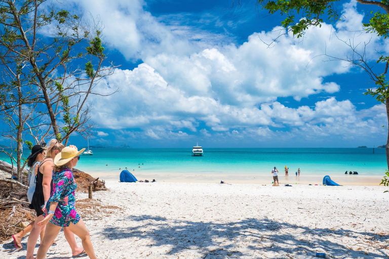 Ultimate Whitehaven Beach, Hike & Inlet Tour with Lunch